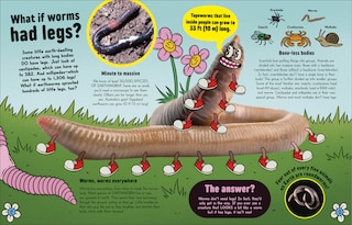 Aper&ccedil;u du contenu 3_What If... Pigs Could Fly?