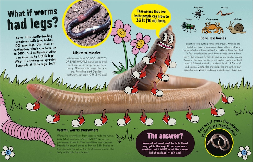 Aper&ccedil;u du contenu 3_What If... Pigs Could Fly?