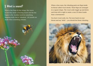 Aperçu du contenu_What is sound?