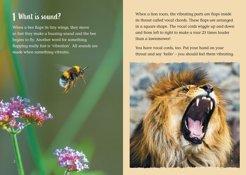 Aperçu du contenu_What is sound?