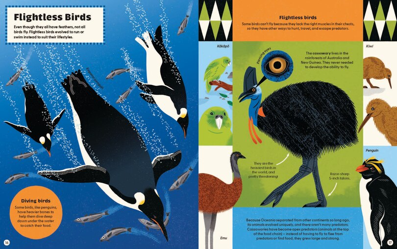 Sample content_What Makes a Bird?: An Illustrated Guide to the Bird World