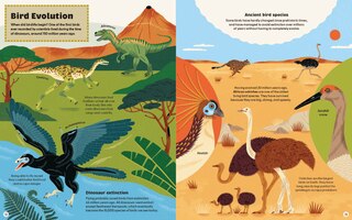 Sample content 3_What Makes a Bird?: An Illustrated Guide to the Bird World