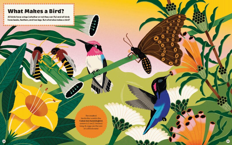 Sample content 5_What Makes a Bird?: An Illustrated Guide to the Bird World
