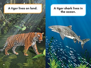 Sample content_What Would You Rather Be? A Tiger or a Tiger Shark?
