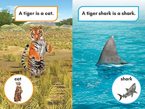 Sample content 2_What Would You Rather Be? A Tiger or a Tiger Shark?
