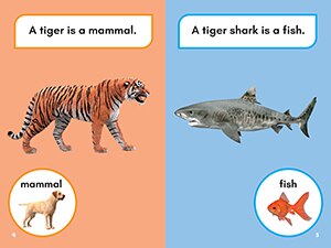 Sample content 3_What Would You Rather Be? A Tiger or a Tiger Shark?
