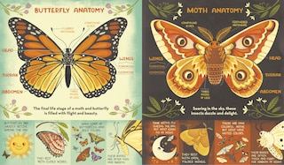 Sample content 2_What's Inside a Caterpillar Cocoon?