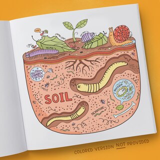 Sample content_What's Inside a Garden?: Science and Nature Coloring Book