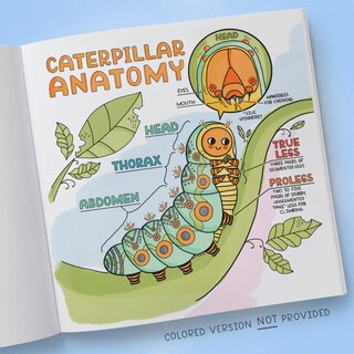 Sample content 2_What's Inside a Garden?: Science and Nature Coloring Book