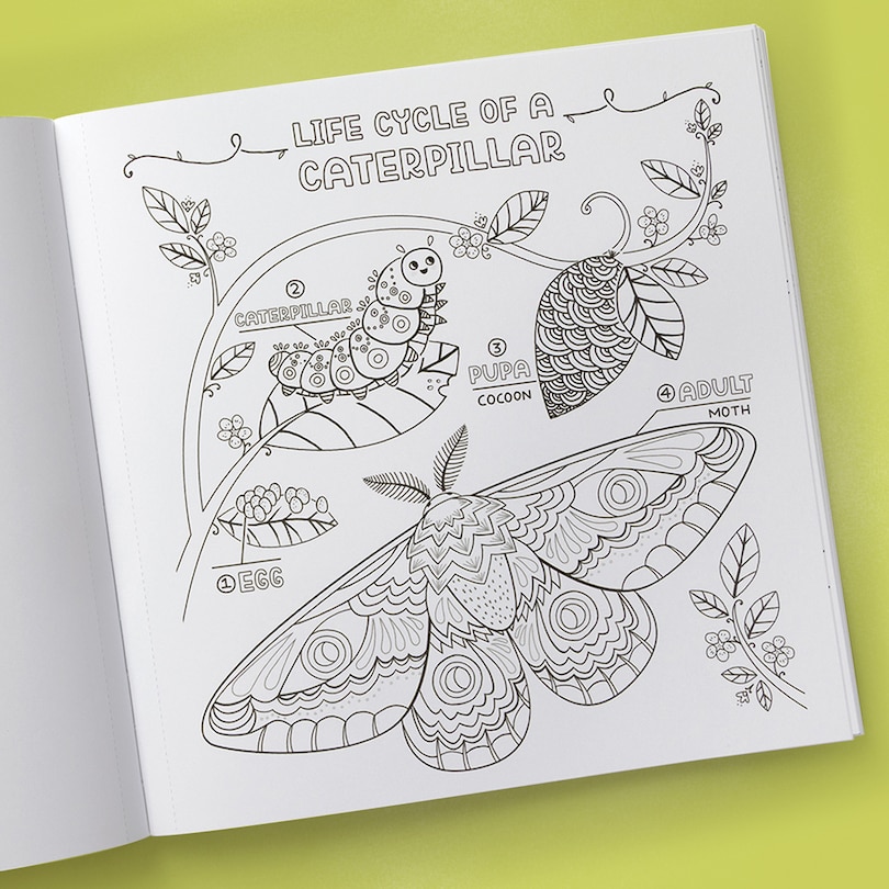 Sample content 3_What's Inside a Garden?: Science and Nature Coloring Book