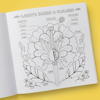 Sample content 4_What's Inside a Garden?: Science and Nature Coloring Book