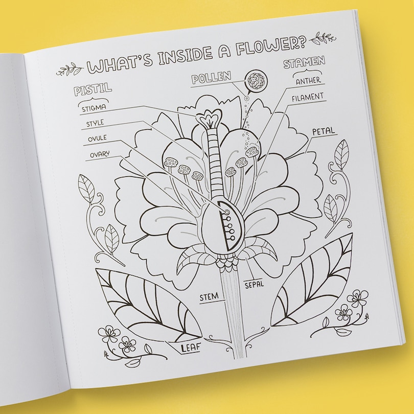 Sample content 4_What's Inside a Garden?: Science and Nature Coloring Book