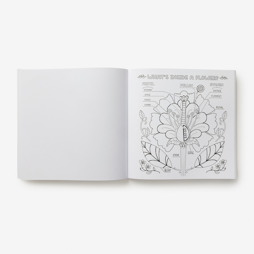 Sample content 5_What's Inside a Garden?: Science and Nature Coloring Book