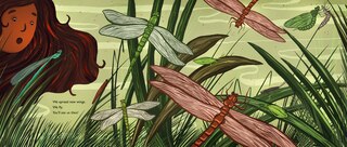 Aper&ccedil;u du contenu_When You See Us: The Mysterious World of Aquatic Insects