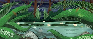 Aper&ccedil;u du contenu 3_When You See Us: The Mysterious World of Aquatic Insects