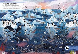 Sample content_Where&rsquo;s the Tiger?