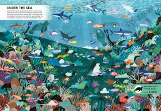 Sample content 2_Where&rsquo;s the Tiger?