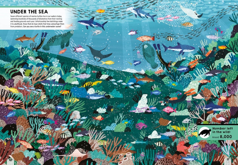 Sample content 2_Where&rsquo;s the Tiger?