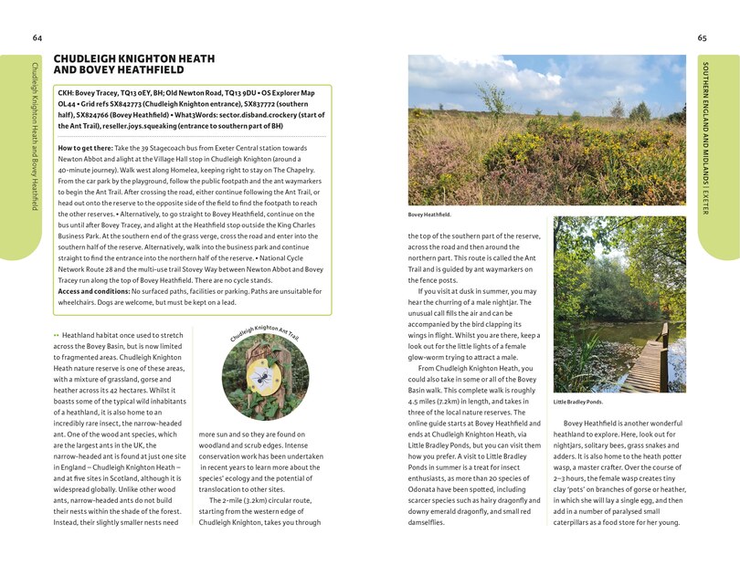 Aperçu du contenu 4_Where to Watch Wildlife in Britain