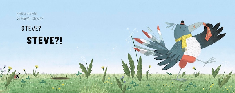 Aper&ccedil;u du contenu_Who Ate Steve?
