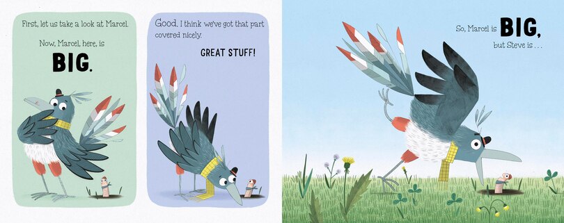 Aper&ccedil;u du contenu 2_Who Ate Steve?