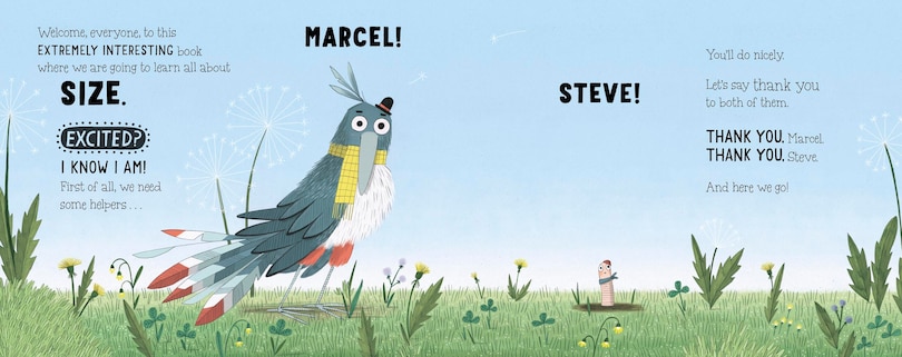 Aper&ccedil;u du contenu 3_Who Ate Steve?