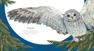 Sample content 3_Who Is Awake in the Moonlight?