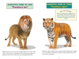 Sample content_Who Would Win?: Monstrous Mammals