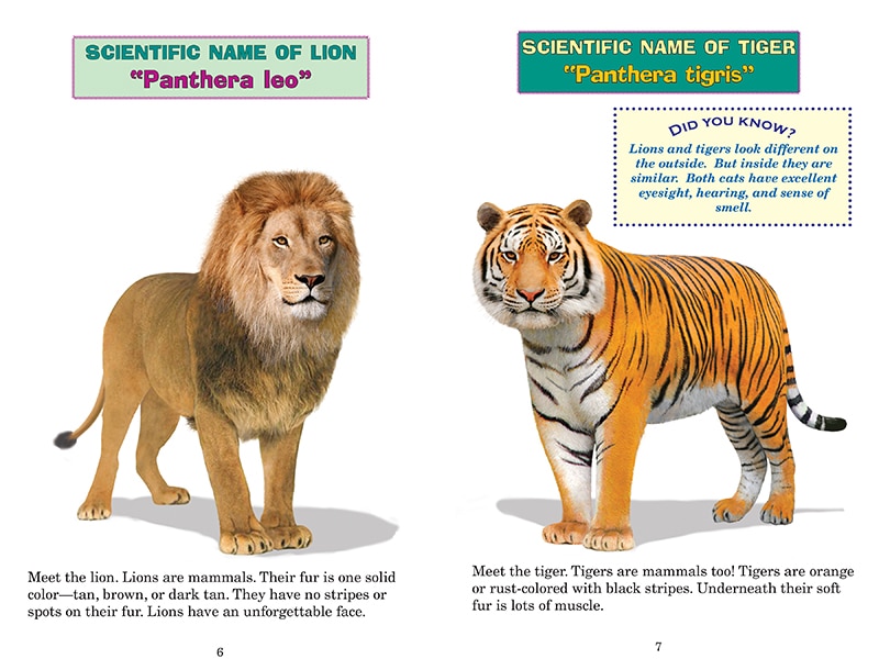 Sample content_Who Would Win?: Monstrous Mammals
