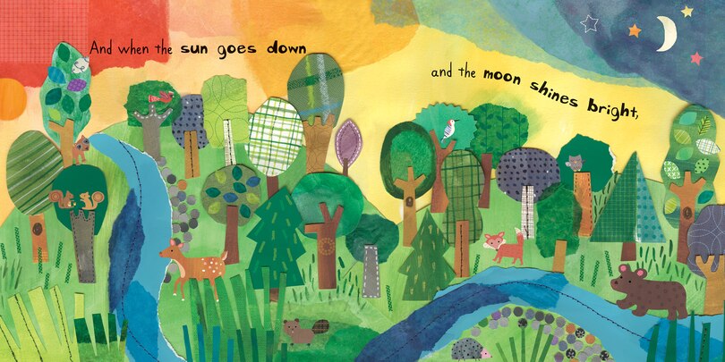 Sample content_Who's in the Forest?