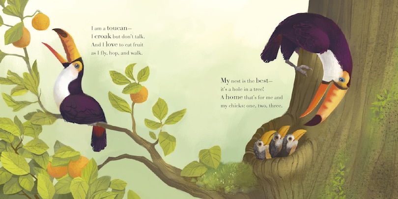 Sample content_Whose Nest Is Best?