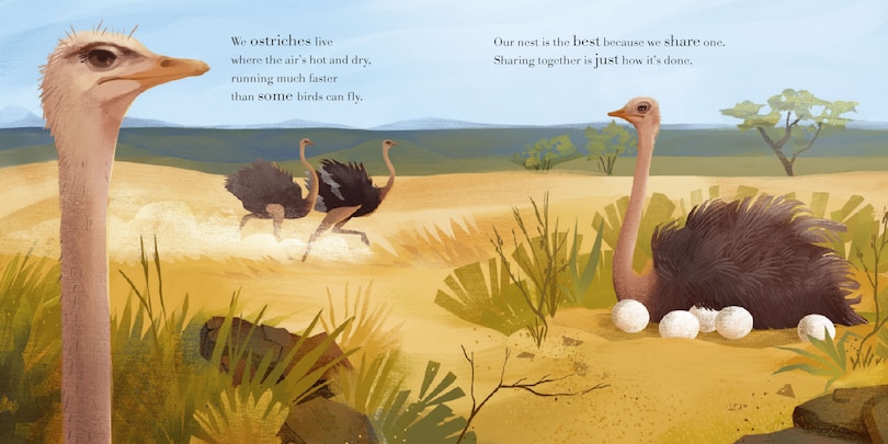 Sample content 2_Whose Nest Is Best?
