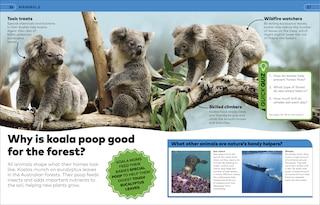 Sample content 3_Why? Animals