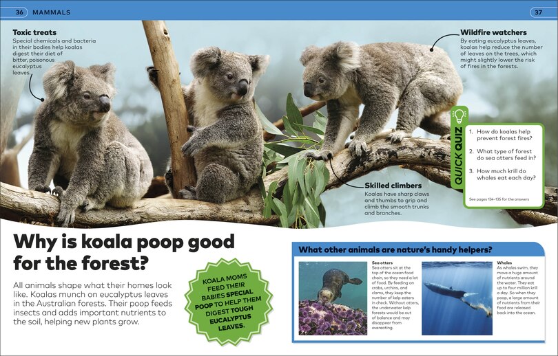 Sample content 3_Why? Animals