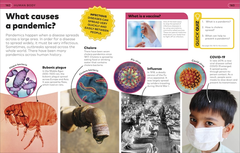 Sample content_Why? Encyclopedia