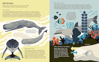 Sample content_Wild About Whales