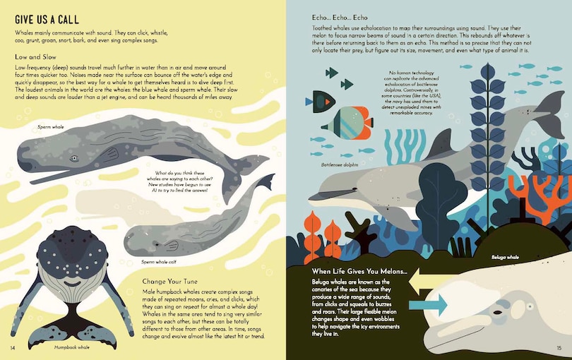 Sample content_Wild About Whales