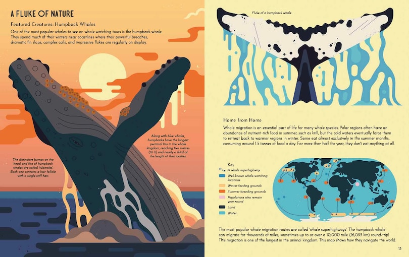 Sample content 2_Wild About Whales