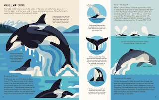 Sample content 3_Wild About Whales