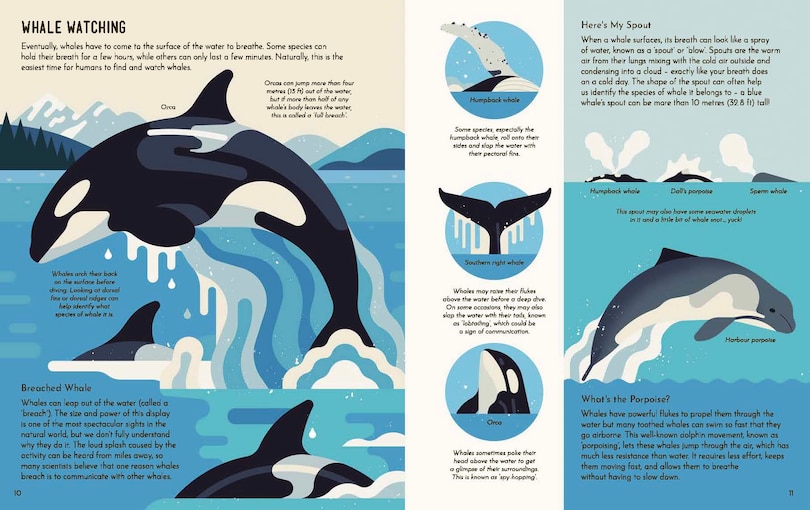 Sample content 3_Wild About Whales