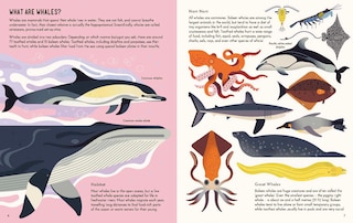 Sample content 5_Wild About Whales