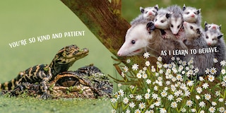 Aper&ccedil;u du contenu_Wild About You