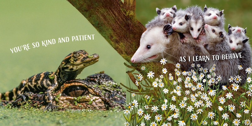 Aper&ccedil;u du contenu_Wild About You