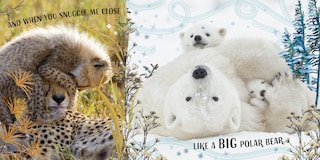 Aper&ccedil;u du contenu 2_Wild About You