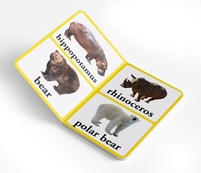 Aper&ccedil;u du contenu_Wild Animals