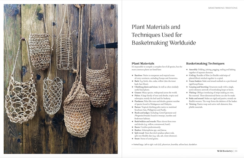 Sample content_Wild Basketry