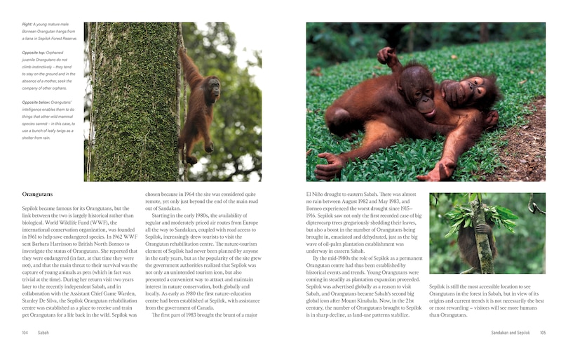 Aper&ccedil;u du contenu 2_Wild Malaysia