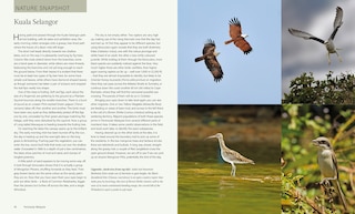 Aper&ccedil;u du contenu 4_Wild Malaysia