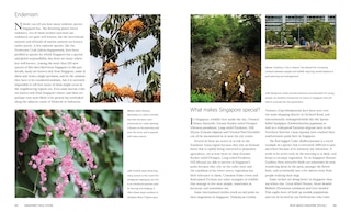 Aper&ccedil;u du contenu_Wild Singapore