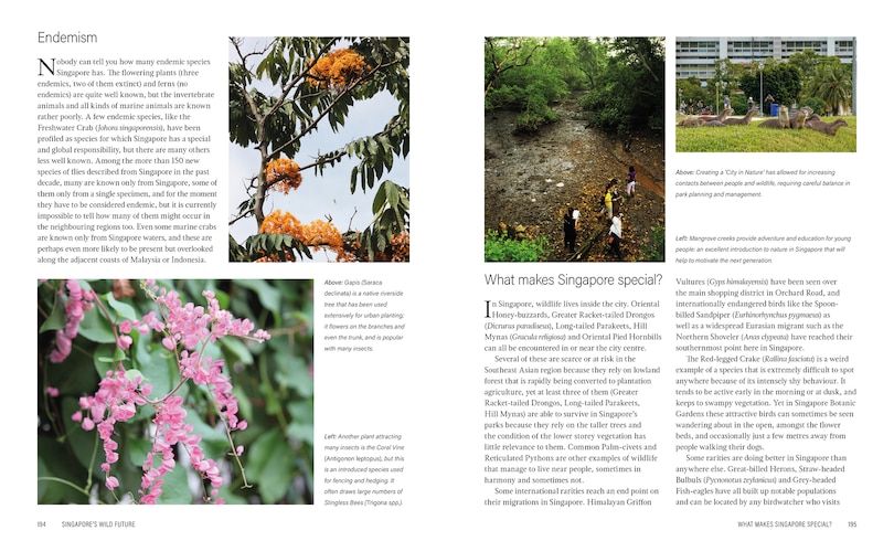 Aper&ccedil;u du contenu_Wild Singapore
